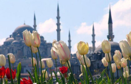festival_tyulpanov_v_stambule